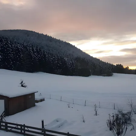 Type F1 A * Rochesson